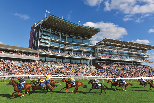 Punters Panel: Horse racing betting tips for this weekend