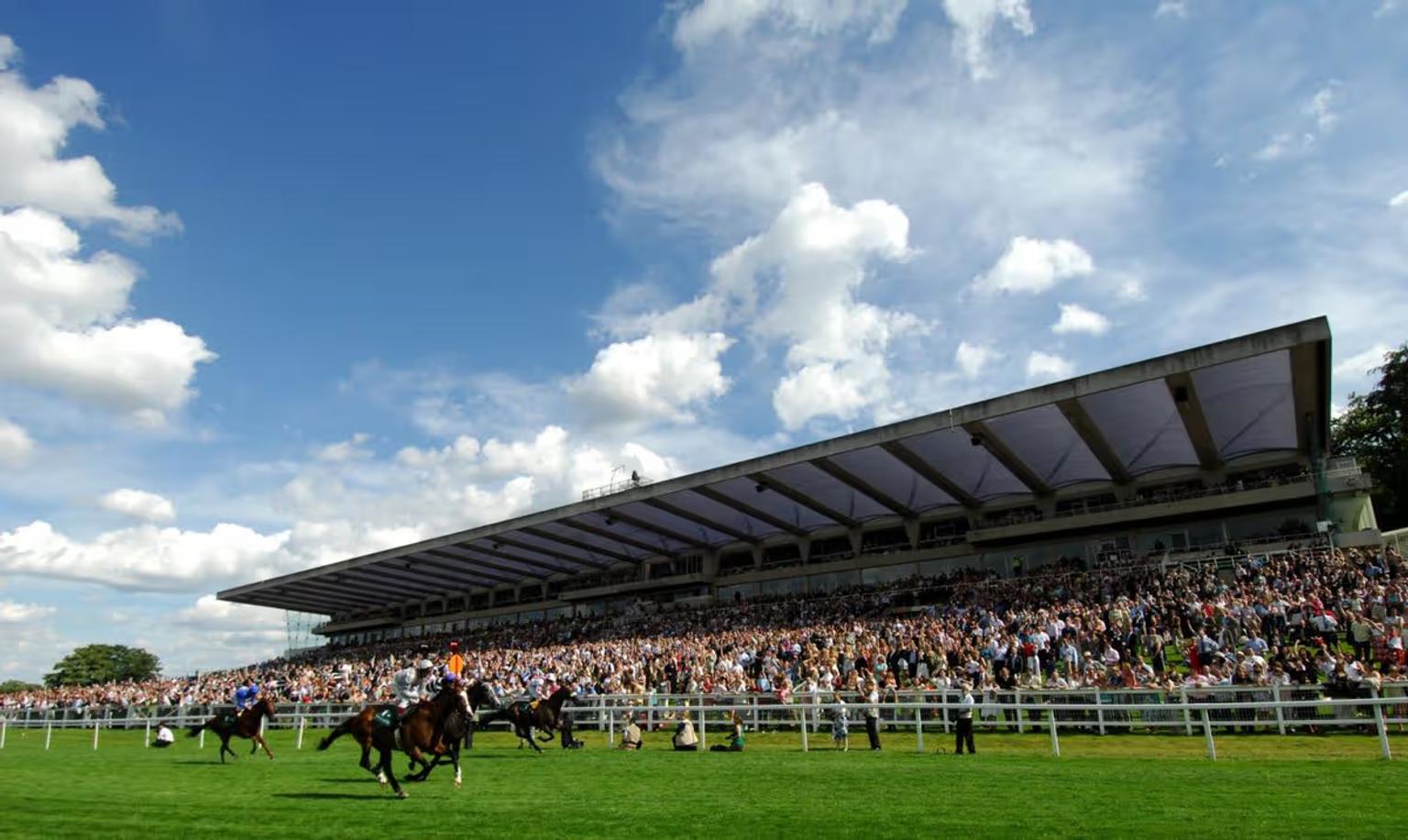 Punters Panel: Horse racing betting tips for this weekend