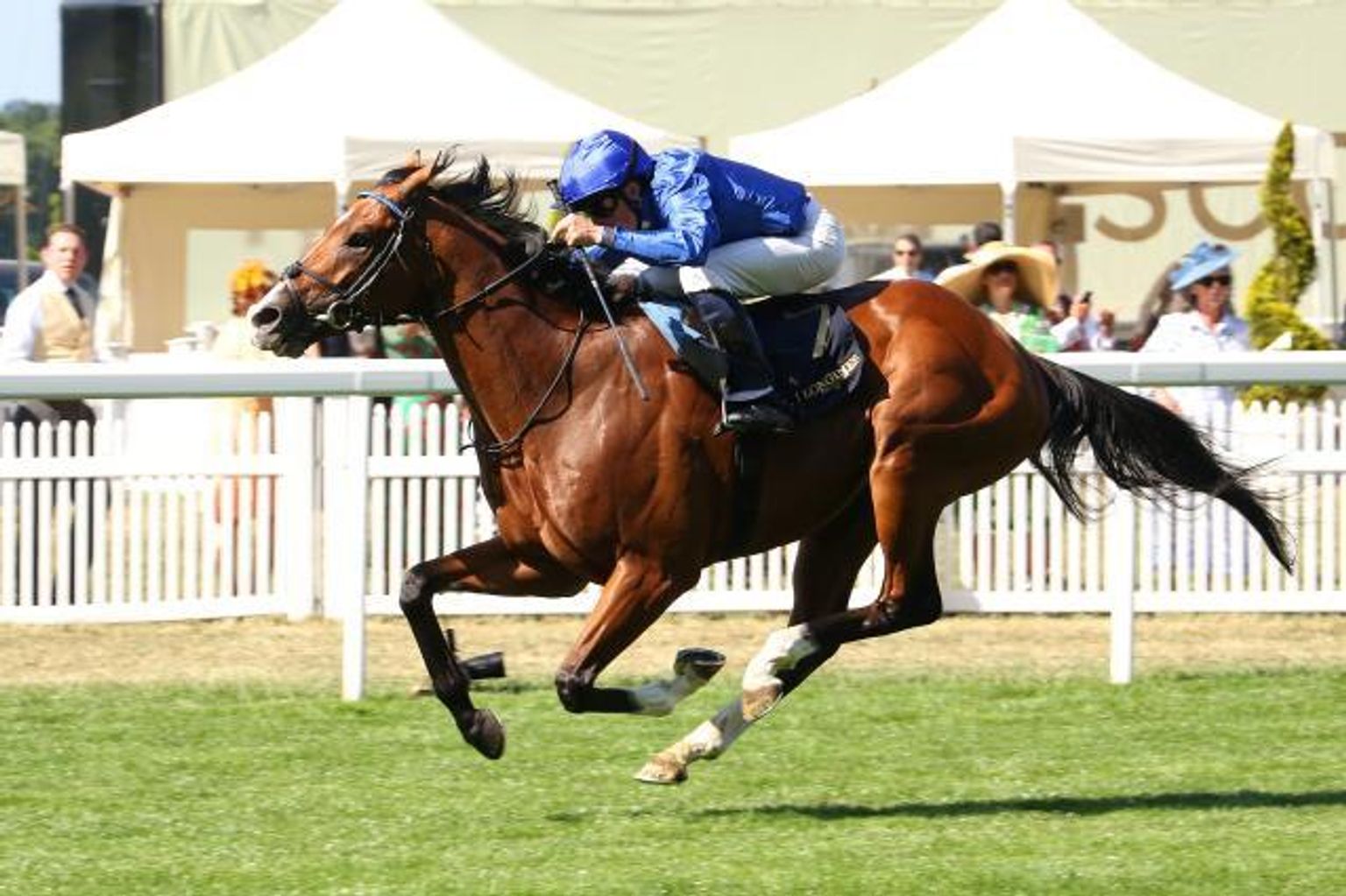 Ombudsman will not be taking on Delacroix in this month's Irish Champion Stakes (Credit: Godolphin)