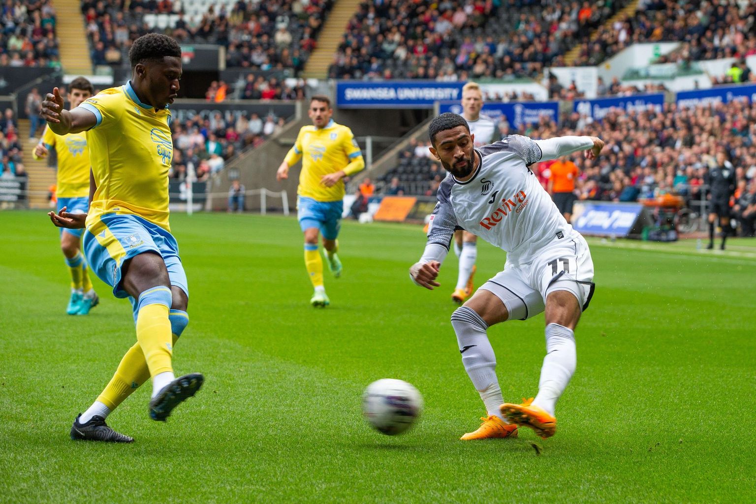 Sheffield Wednesday vs Swansea City: Betting Odds & Prediction