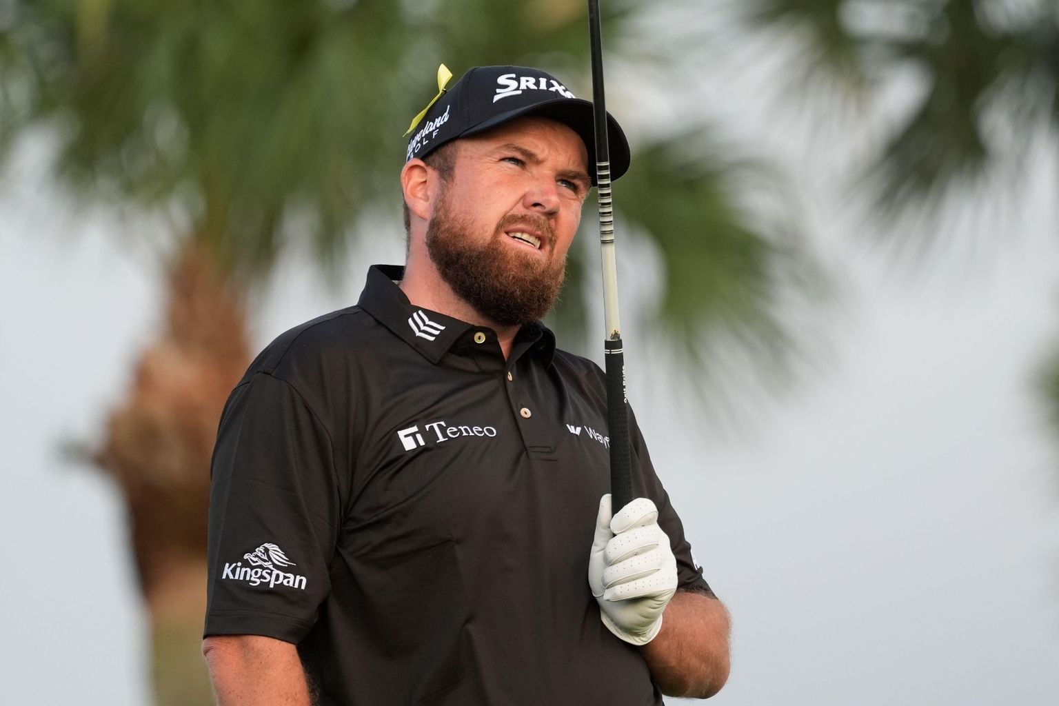 The Betting Bunker: Lowry can find his mojo at Yas Links