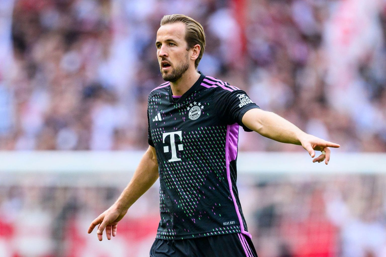 Bayern Munich vs Wolfsburg: Betting Odds & Prediction