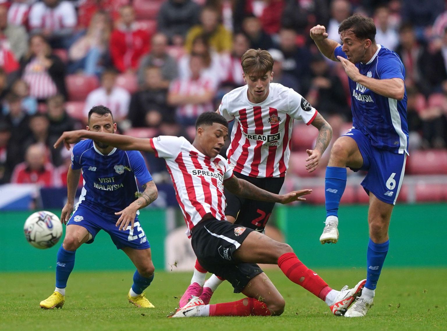 Cardiff City vs Sunderland: Betting Odds & Prediction