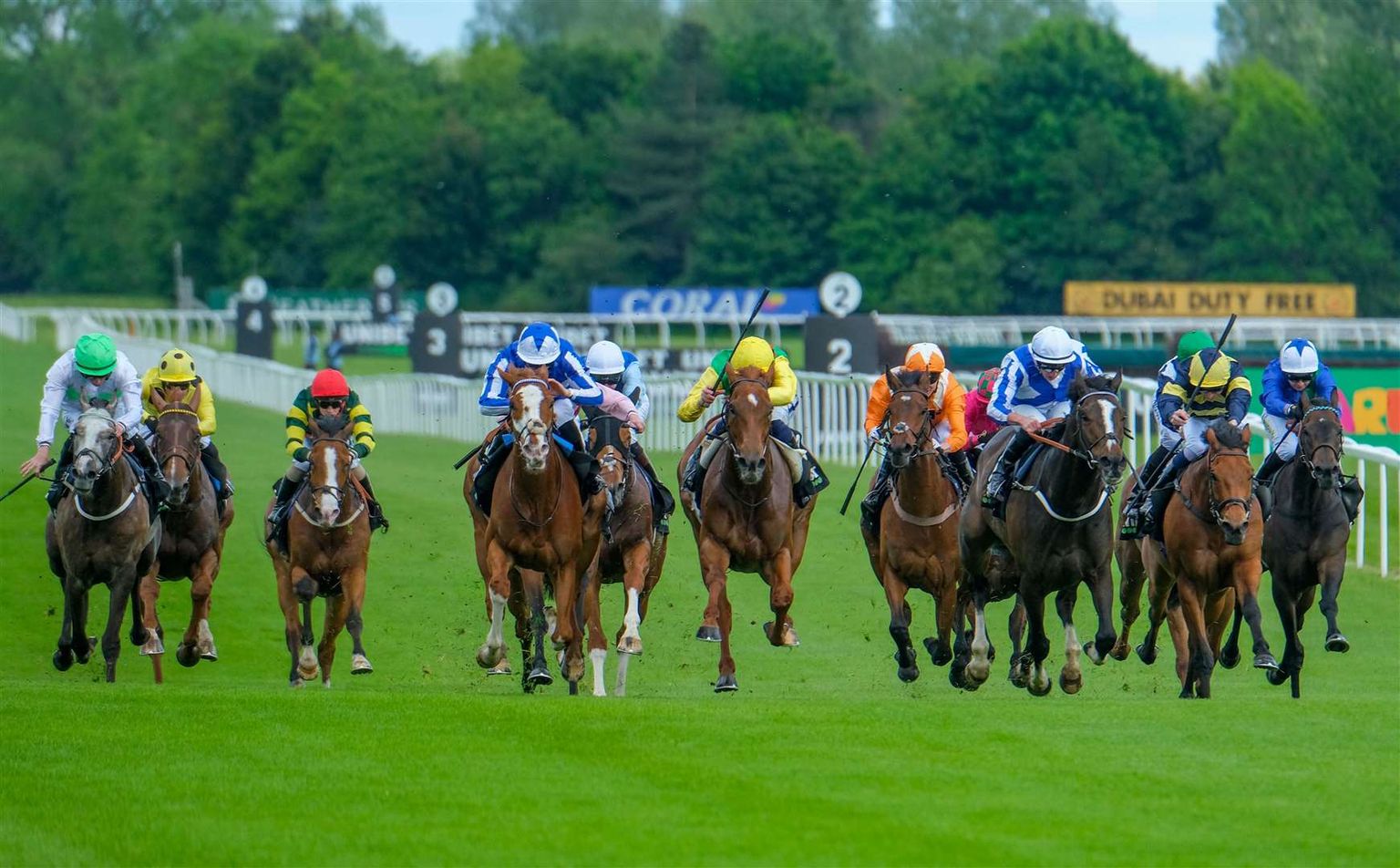Newbury hosts the 2026 Lockinge on Saturday (Credit: Newbury Racecourse)