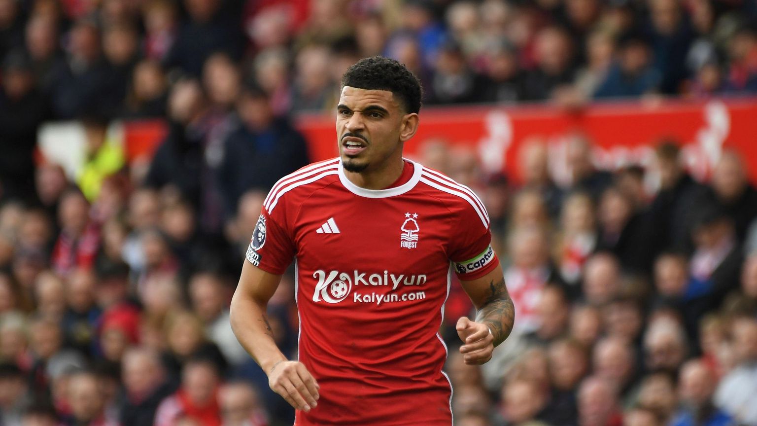 Sheffield United vs Nottingham Forest: Betting Odds & Prediction