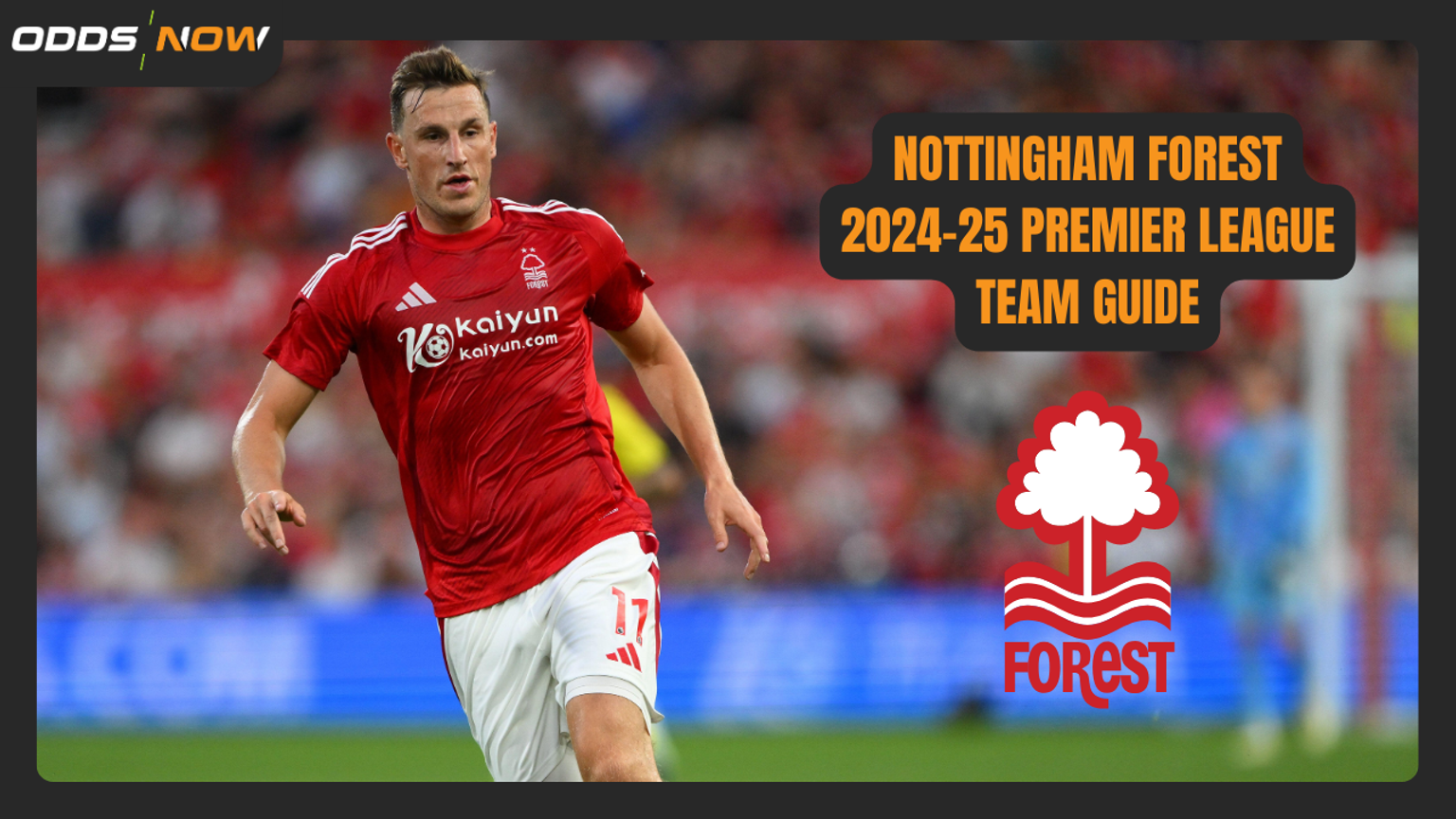 Premier League 2024-25 Betting Guide: Nottingham Forest