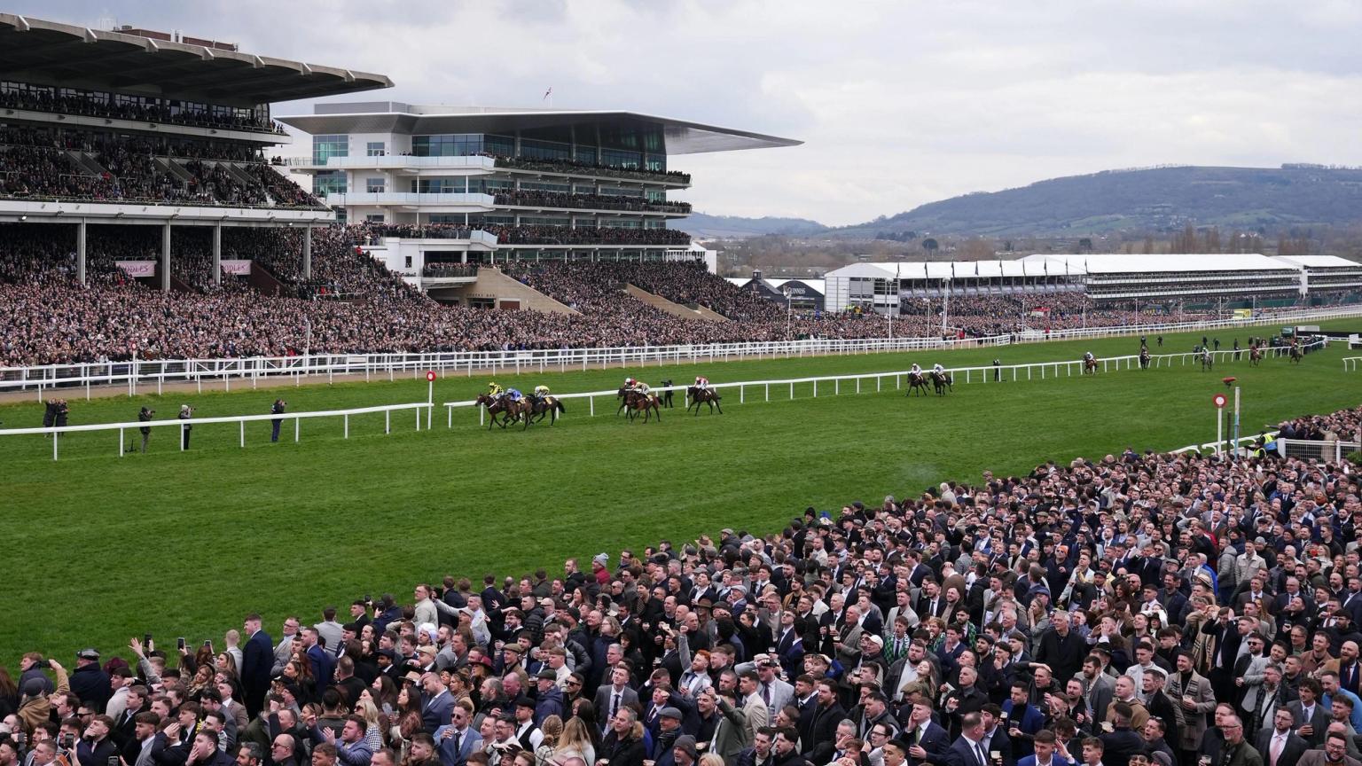Our horse racing experts answer the key questions ahead of this year's Cheltenham Festival (Credit: Shutterstock)