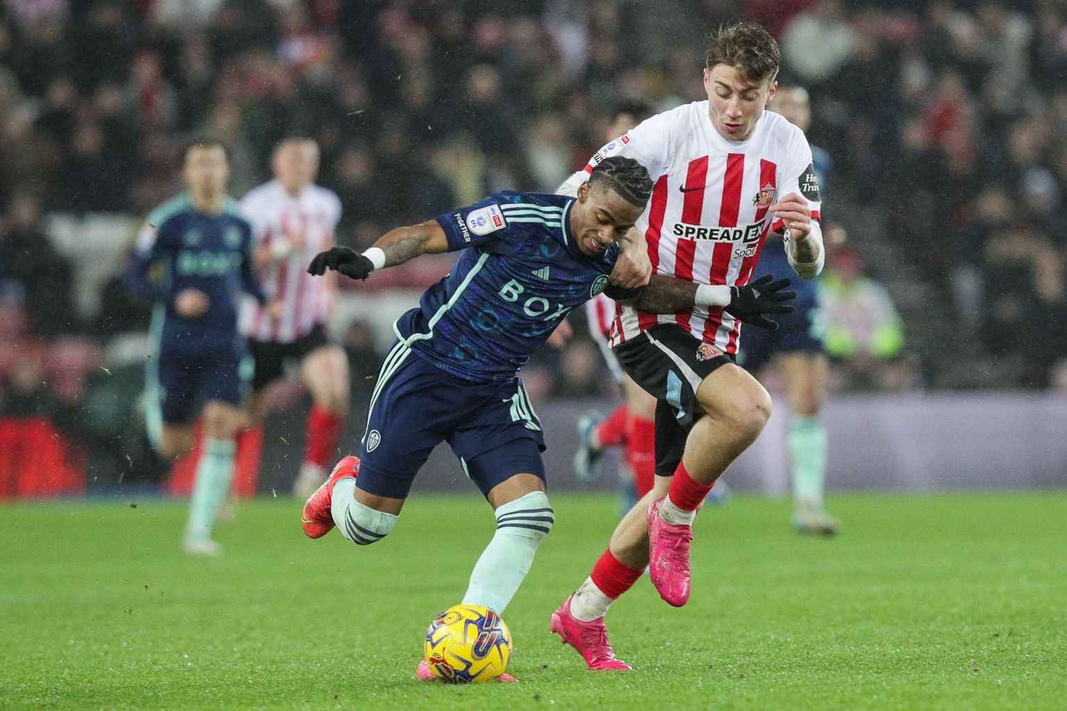 Leeds United vs Sunderland: Betting Odds & Prediction