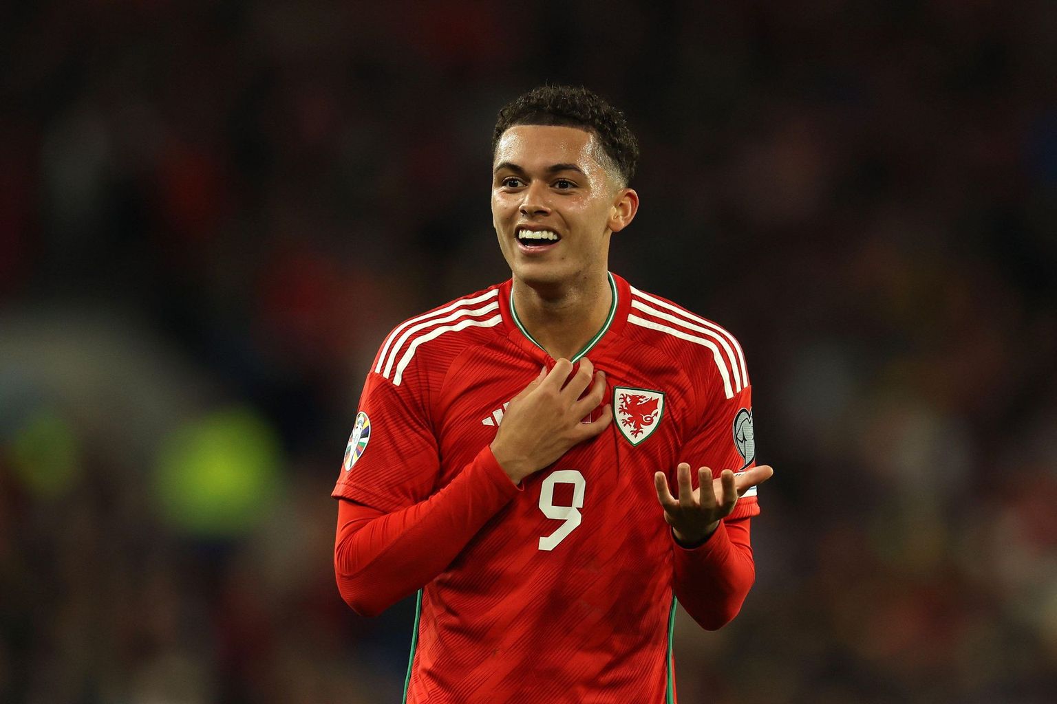 Wales vs Finland: Betting Odds & Prediction