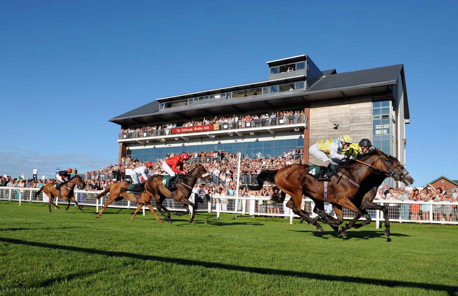 Punters Panel: Horse racing betting tips for this weekend