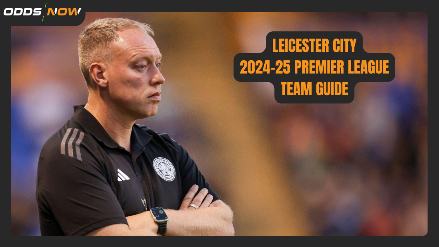 Premier League 2024-25 Betting Guide: Leicester City