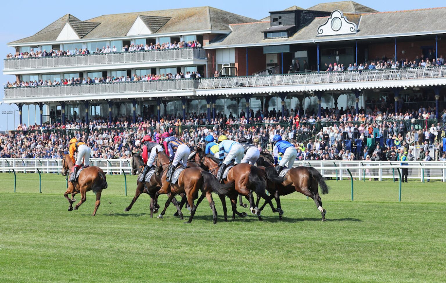 Ayr hosts the Scottish Grand National this weekend (Credit: Ayr Racecourse)
