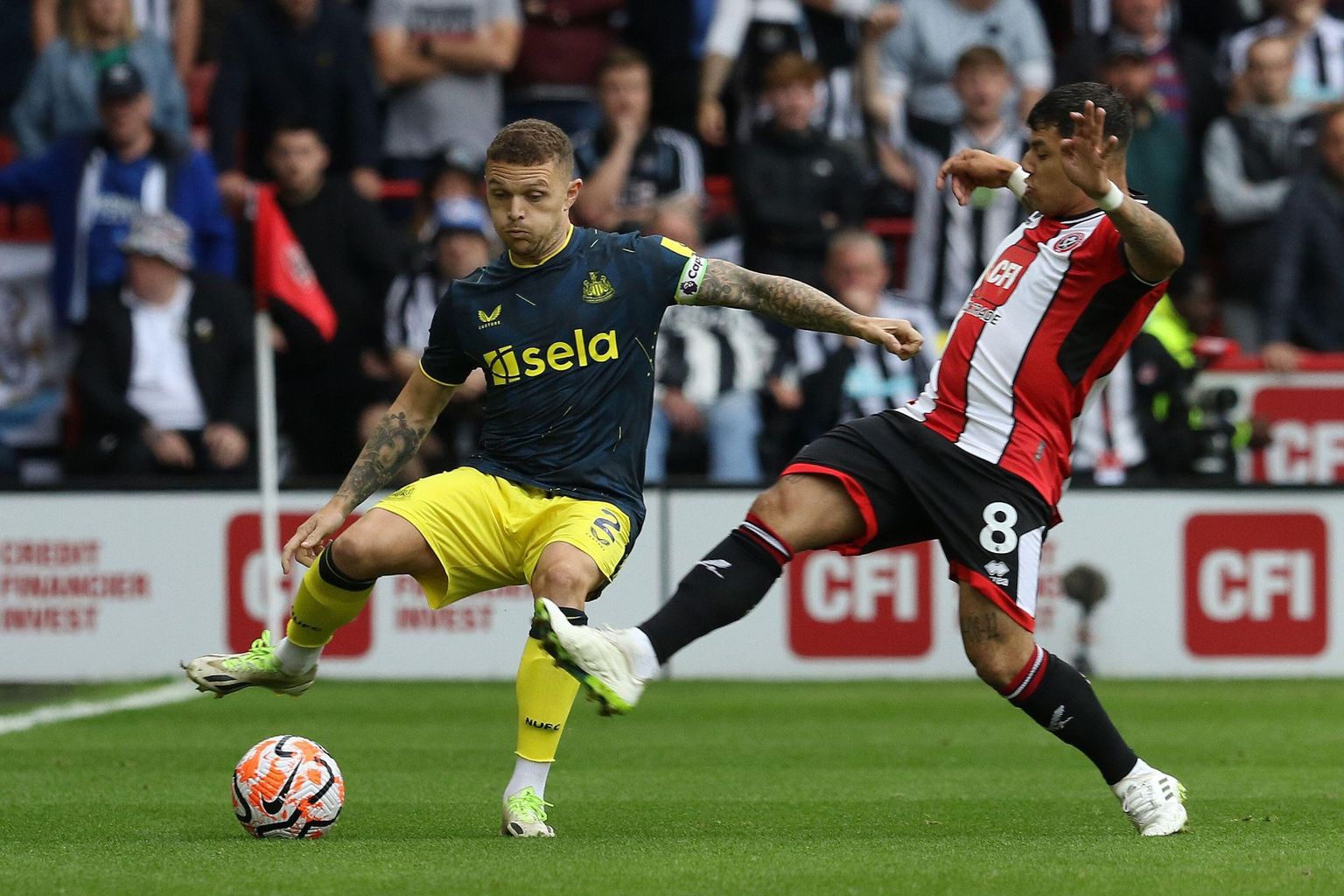 Newcastle vs Sheffield United: Betting Odds & Prediction