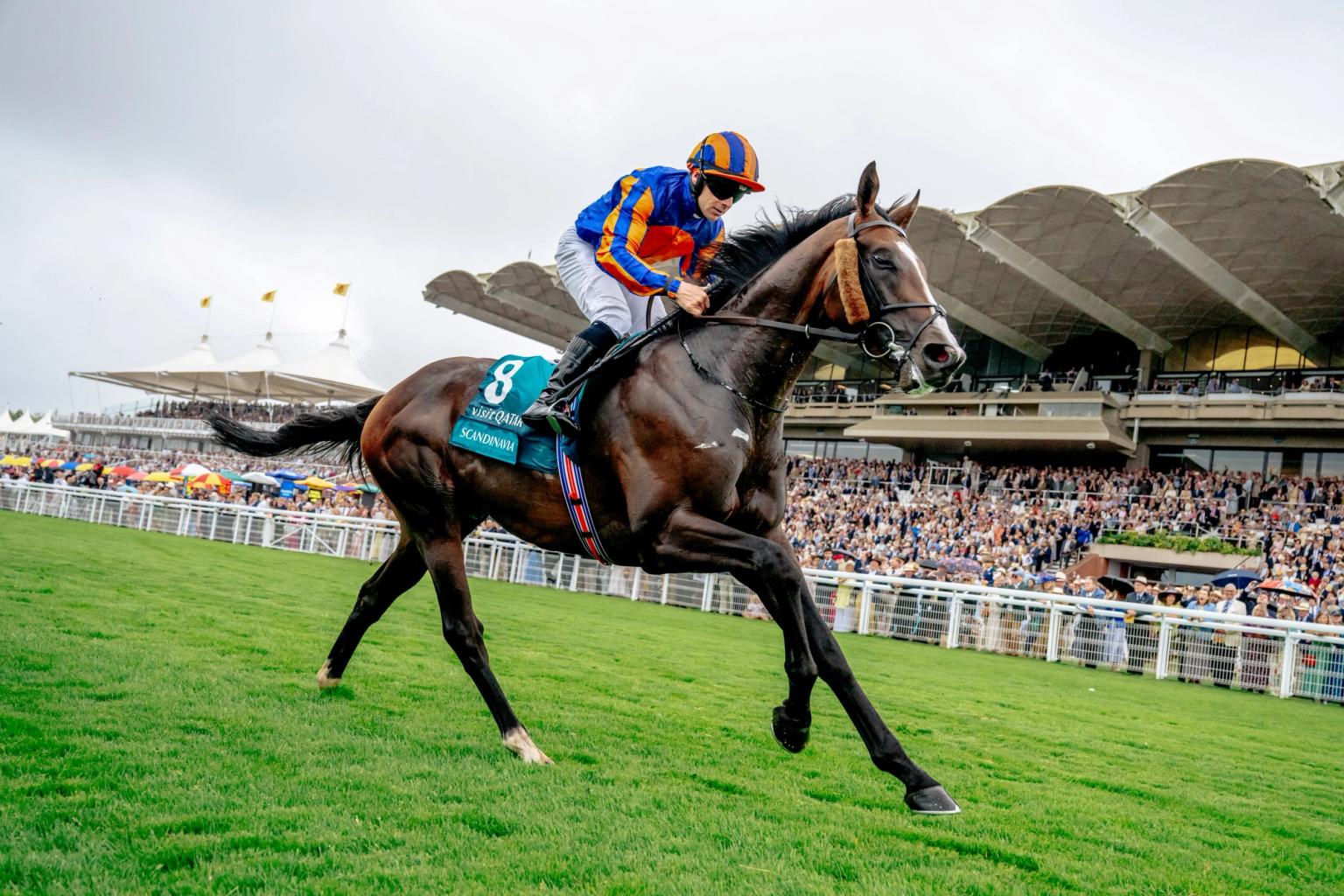Glorious Goodwood 2025: Festival review and five horses to follow