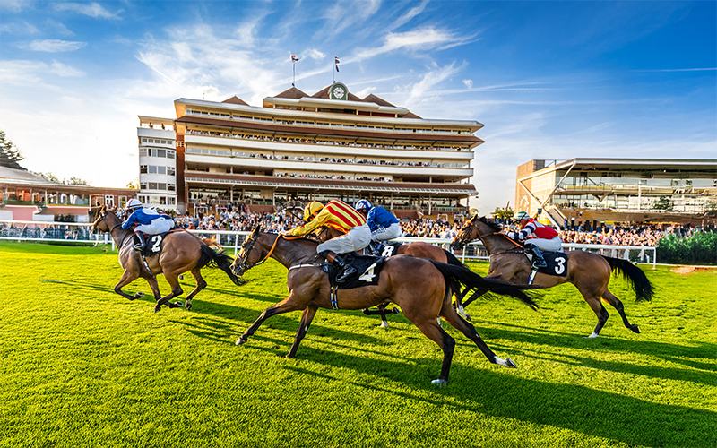Punters Panel: Horse racing betting tips for this weekend