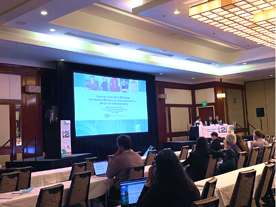 Image of INCLUDE DCC presentation at T21RS conference