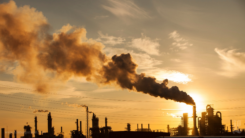 Eskibedir’de Planlanan Yakma Tesisi İçin ÇED Sürecinin Durdurulması Çağrısı