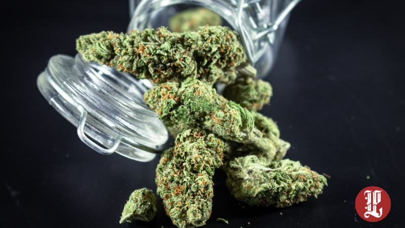 Lüleburgaz’da Uyuşturucu Operasyonu: 1 Tutuklama