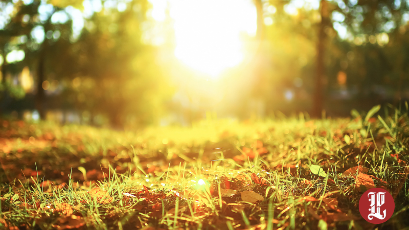 Lüleburgaz’da Hava Ilıman Seyredecek