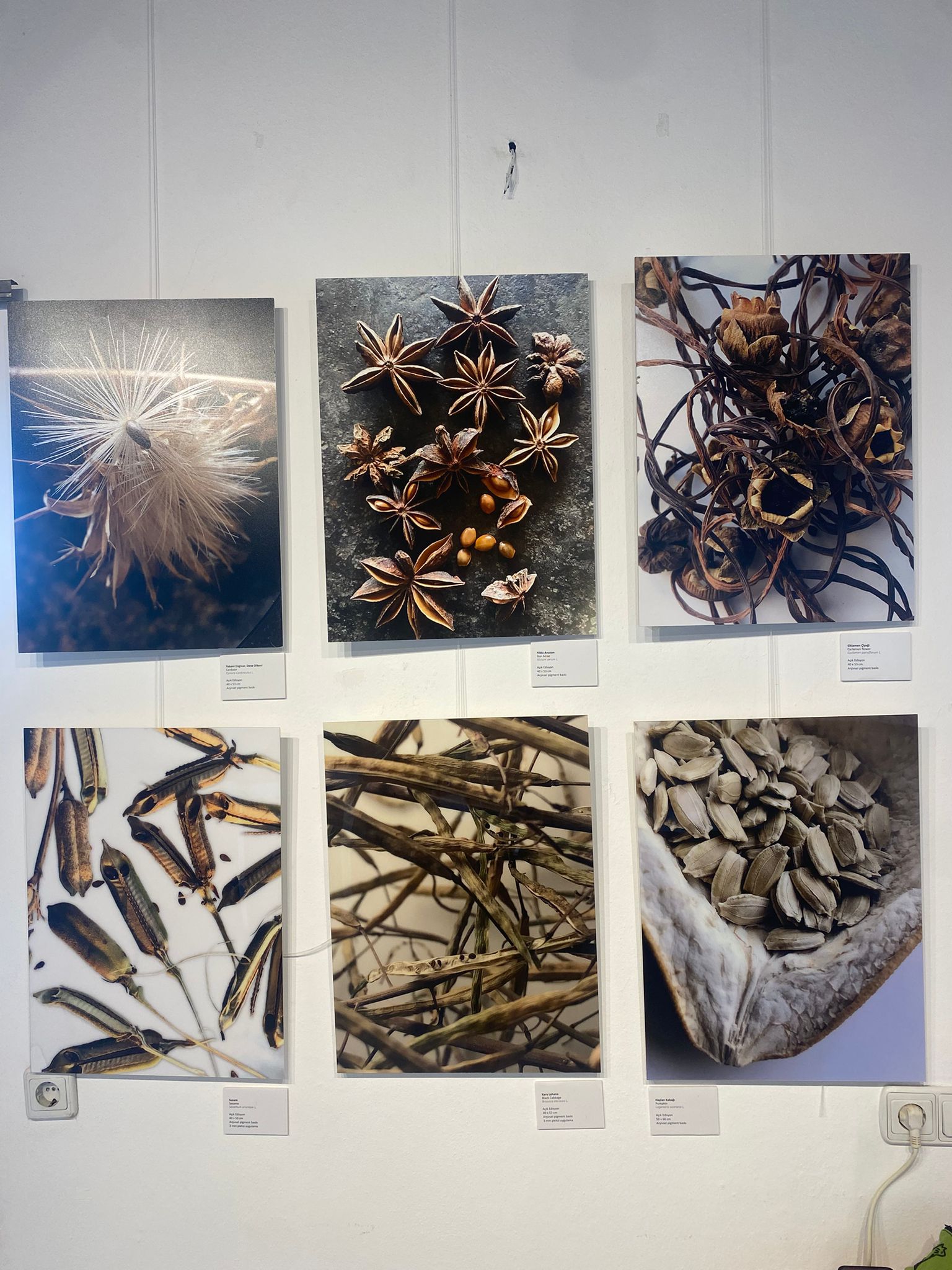 Kaş’ta Lüleburgaz’a Rastlamak