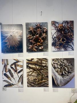 Kaş’ta Lüleburgaz’a Rastlamak