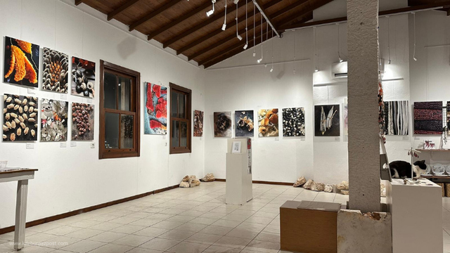 Kaş’ta Lüleburgaz’a Rastlamak