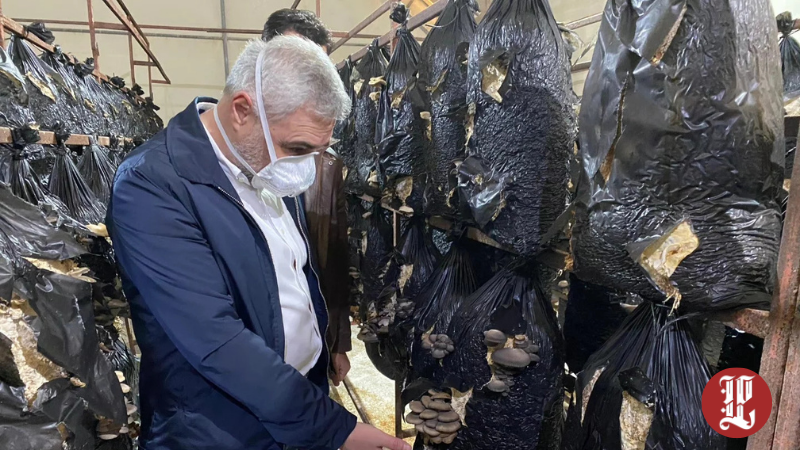 Sarıçam’dan Lüleburgaz'da İstiridye Mantarı Üretim Tesisine Ziyaret