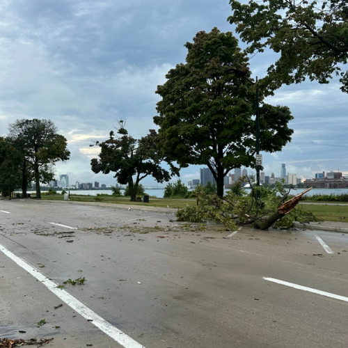 Storm cleanup efforts are underway on Belle Isle