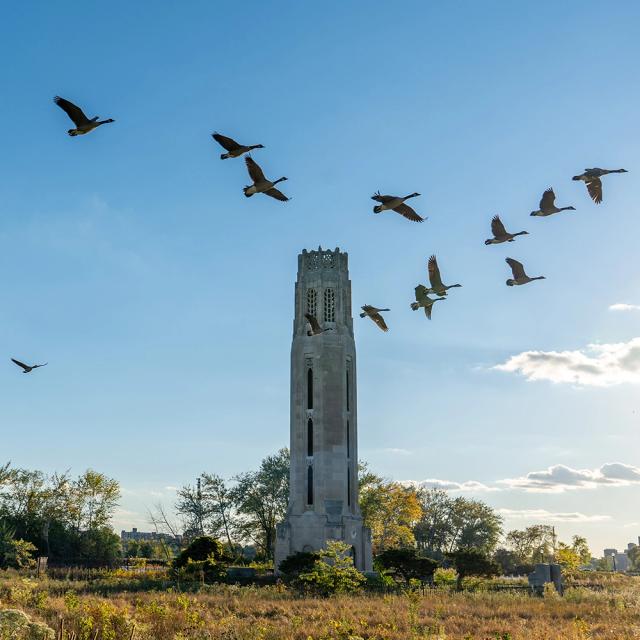 Nancy Brown Peace Carillon