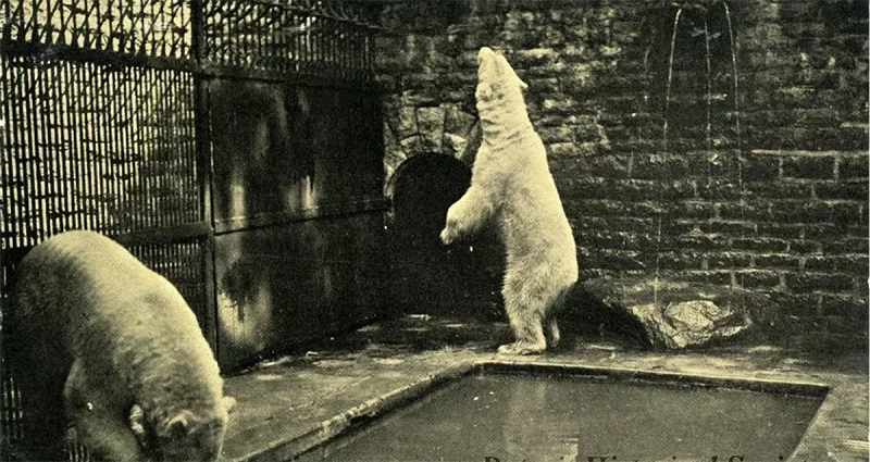 Belle Isle Conservancy