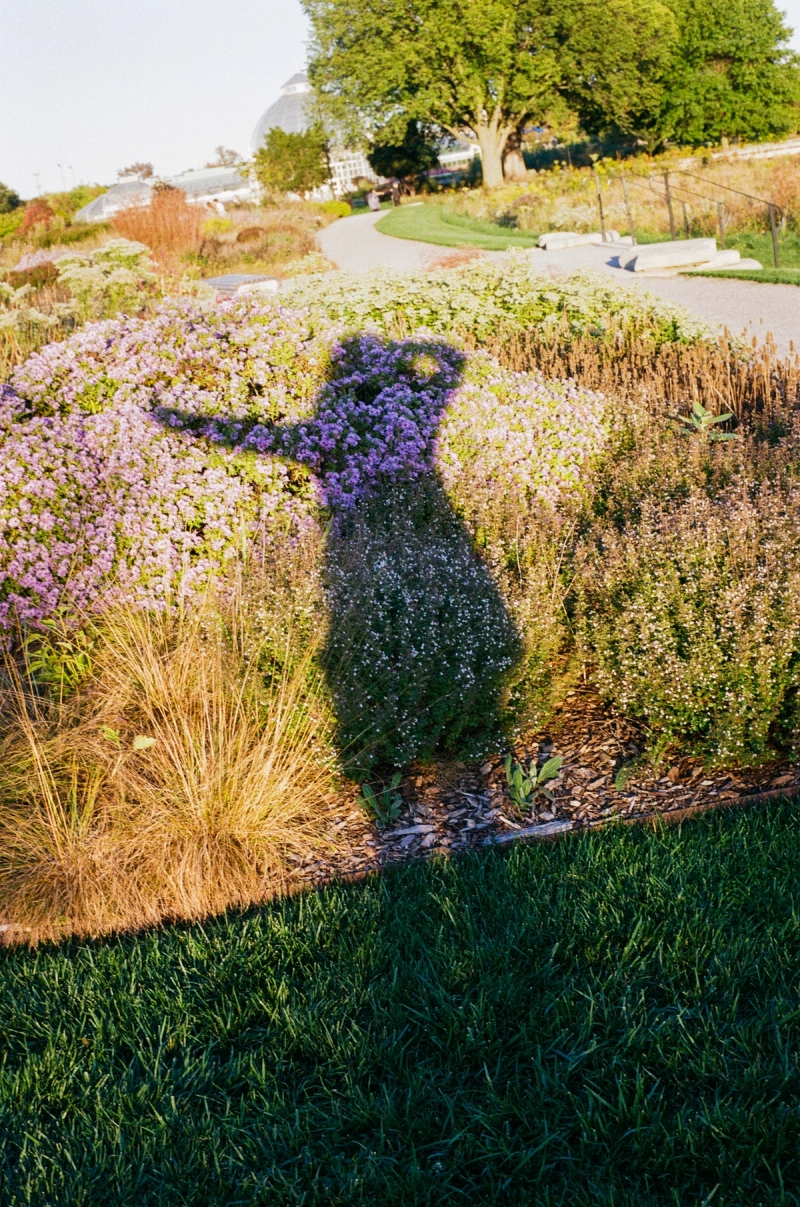 Belle Isle Conservancy