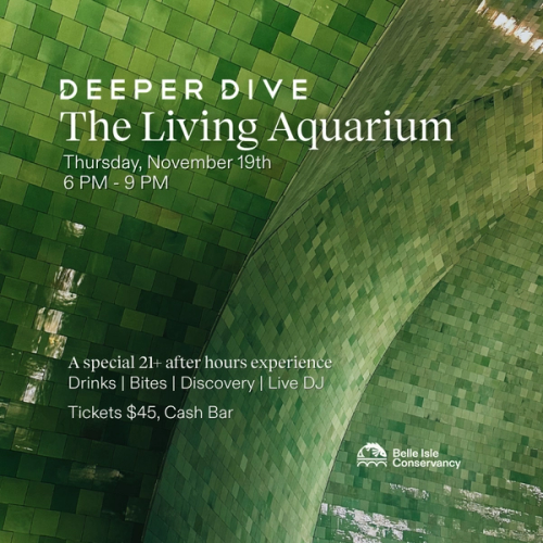 Deeper Dive: The Living Aquarium