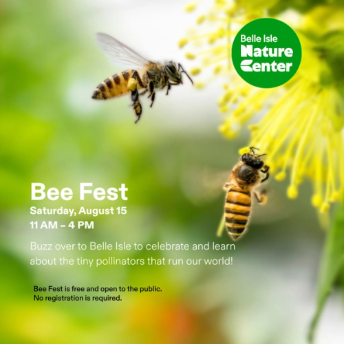 Bee Fest!