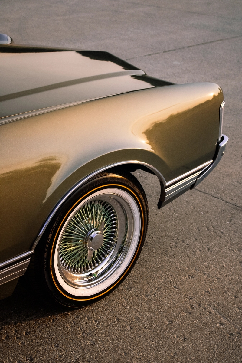 Belle Isle Conservancy