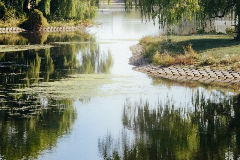 Belle Isle Conservancy