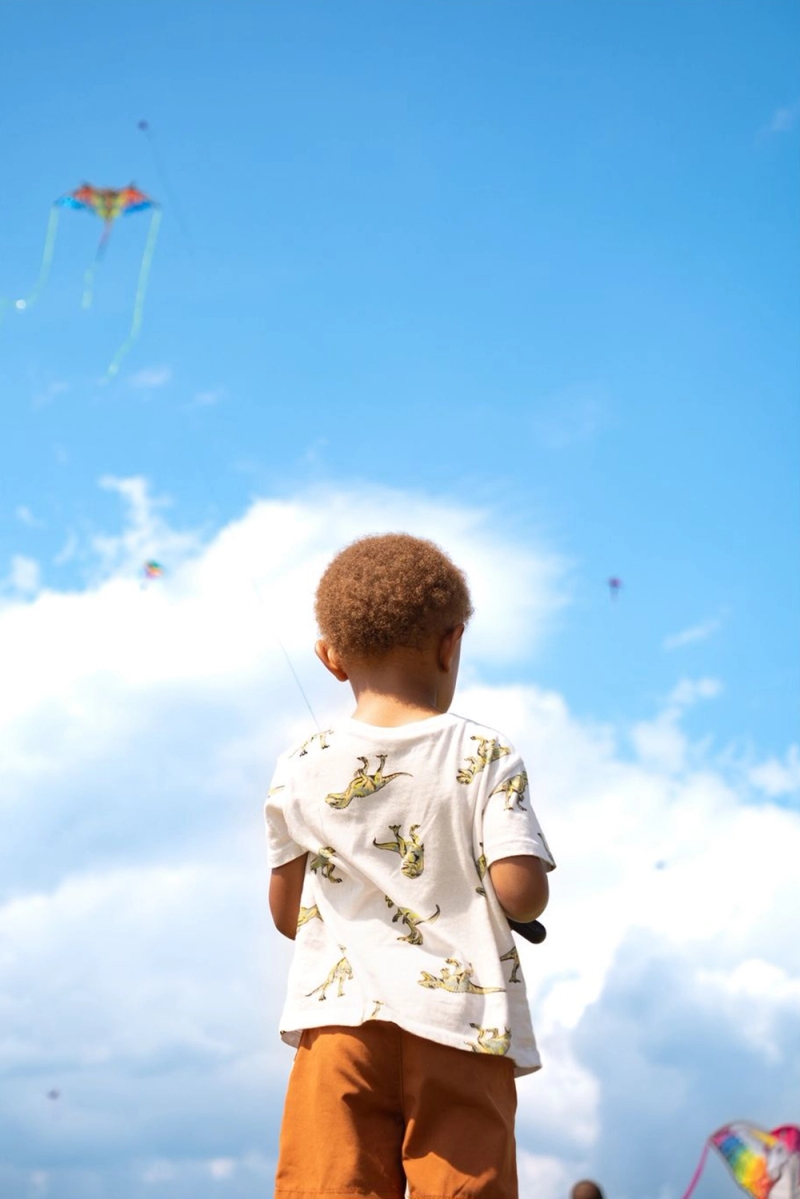 Belle Isle Conservancy