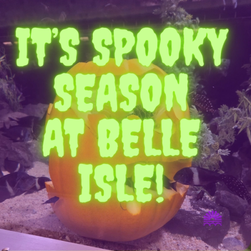 Spooky Season is Upon Us!