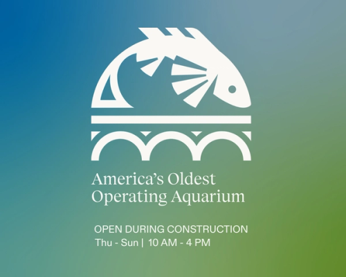 Belle Isle Aquarium Open During Construction