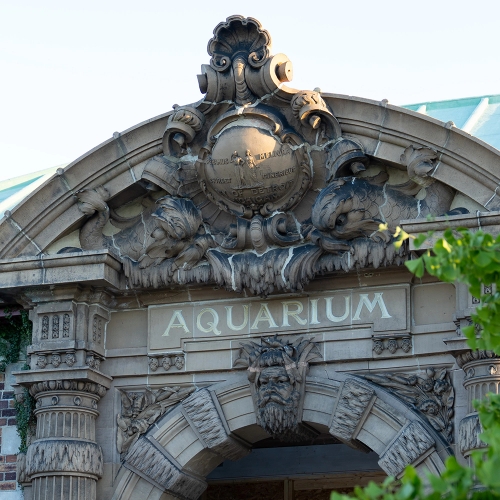 Belle Isle Aquarium Closed