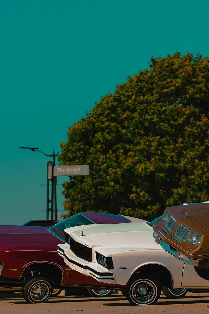 Belle Isle Conservancy