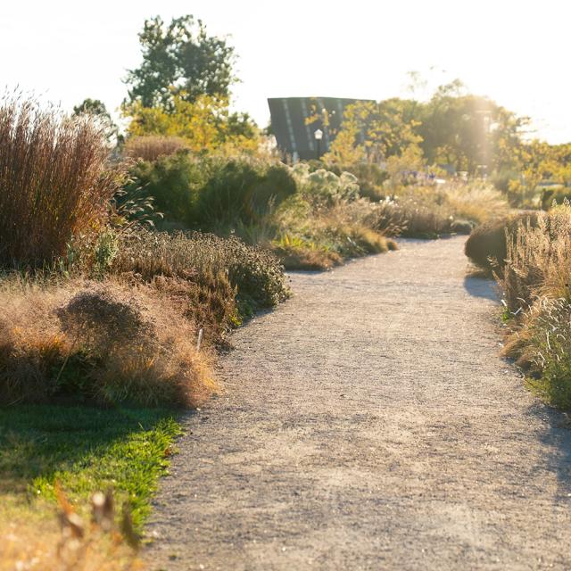 Oudolf Garden Detroit