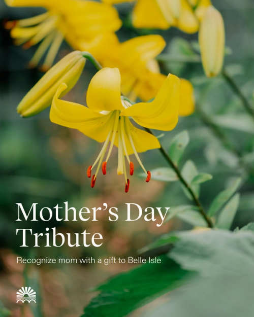 Honor the moms in your life with a tribute gift to Belle Isle 