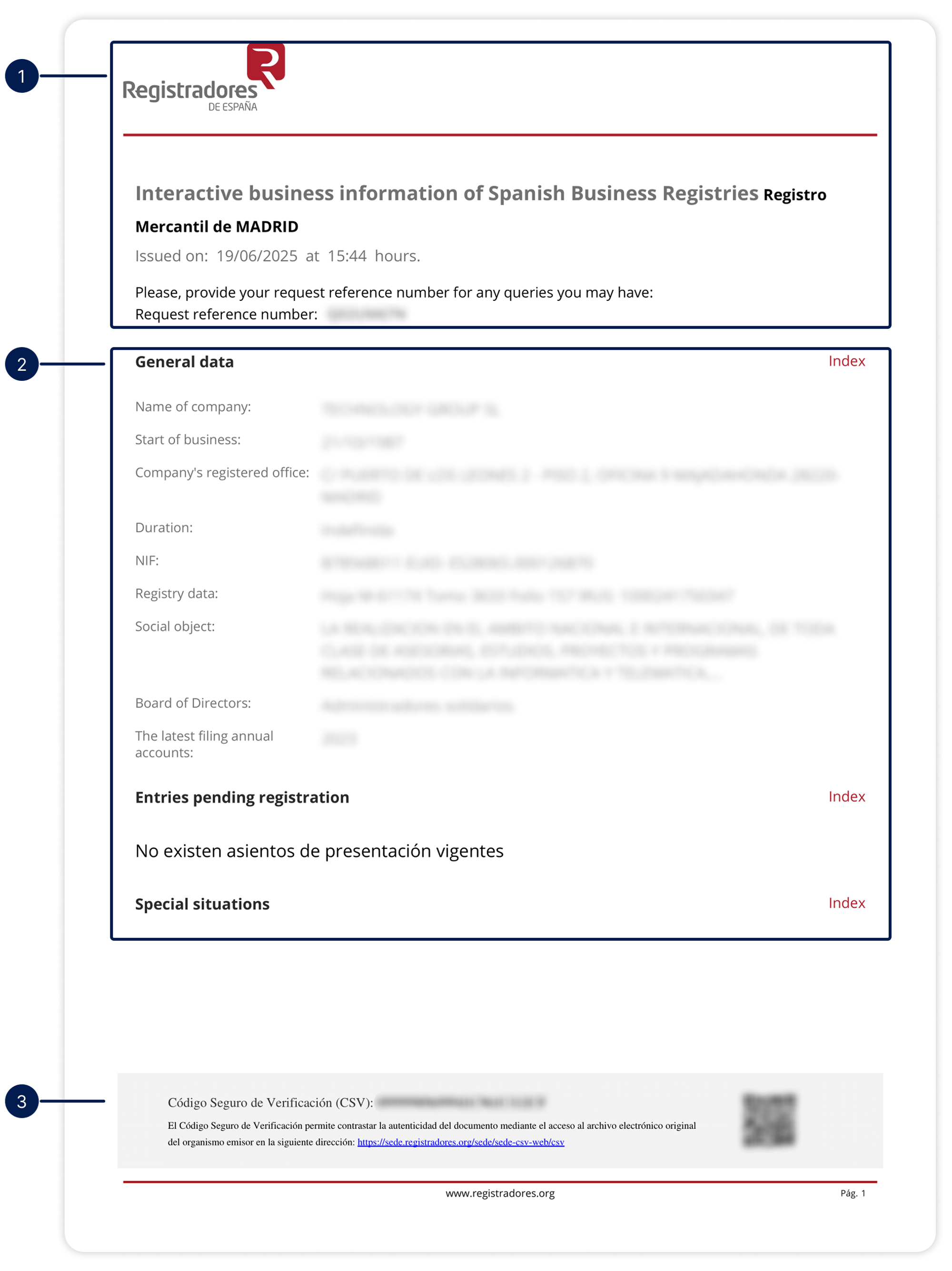 Depósito de Cuentas Anuales (Financial Statements) 1