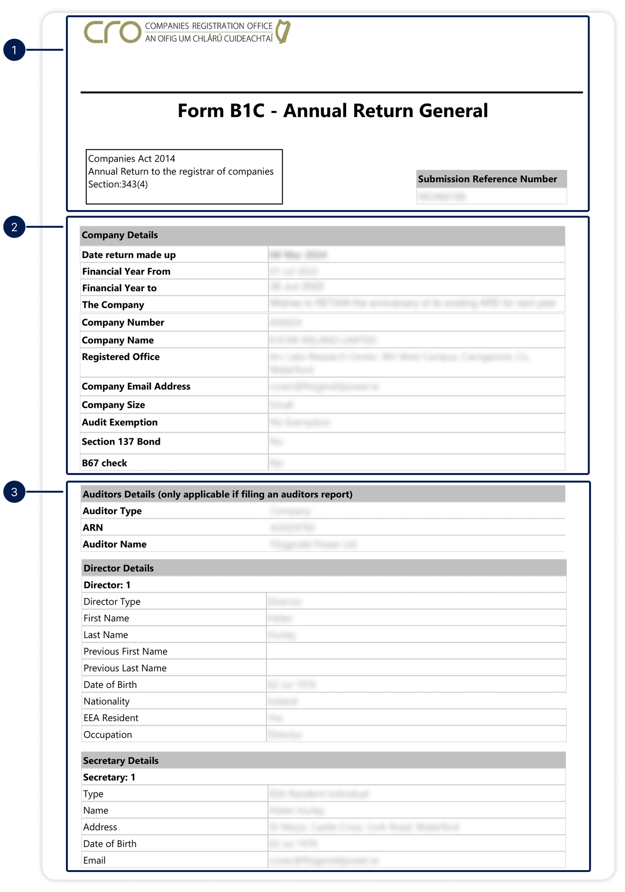 Ireland - Annual Return page 1