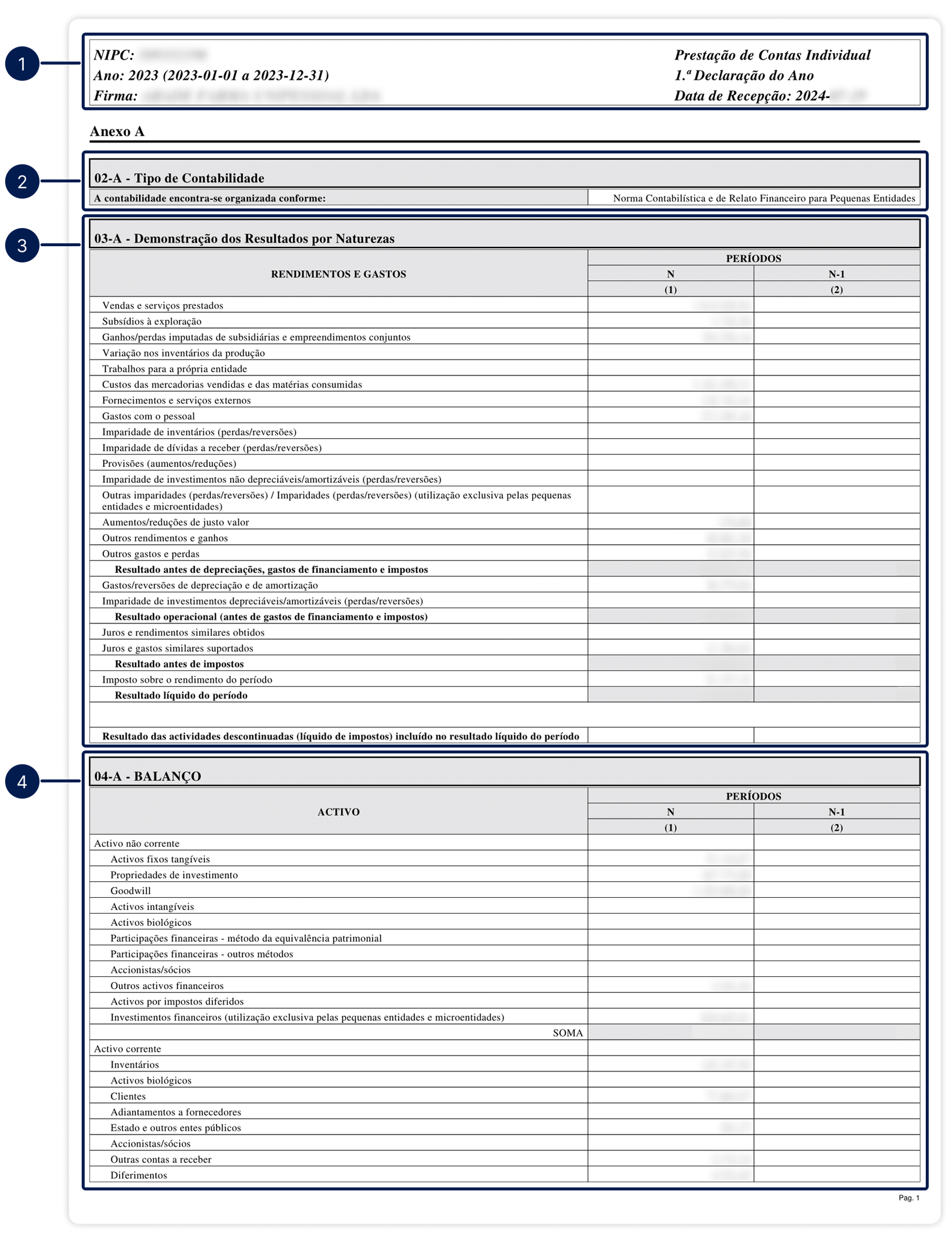 Portugal - Financial statements examples page 1