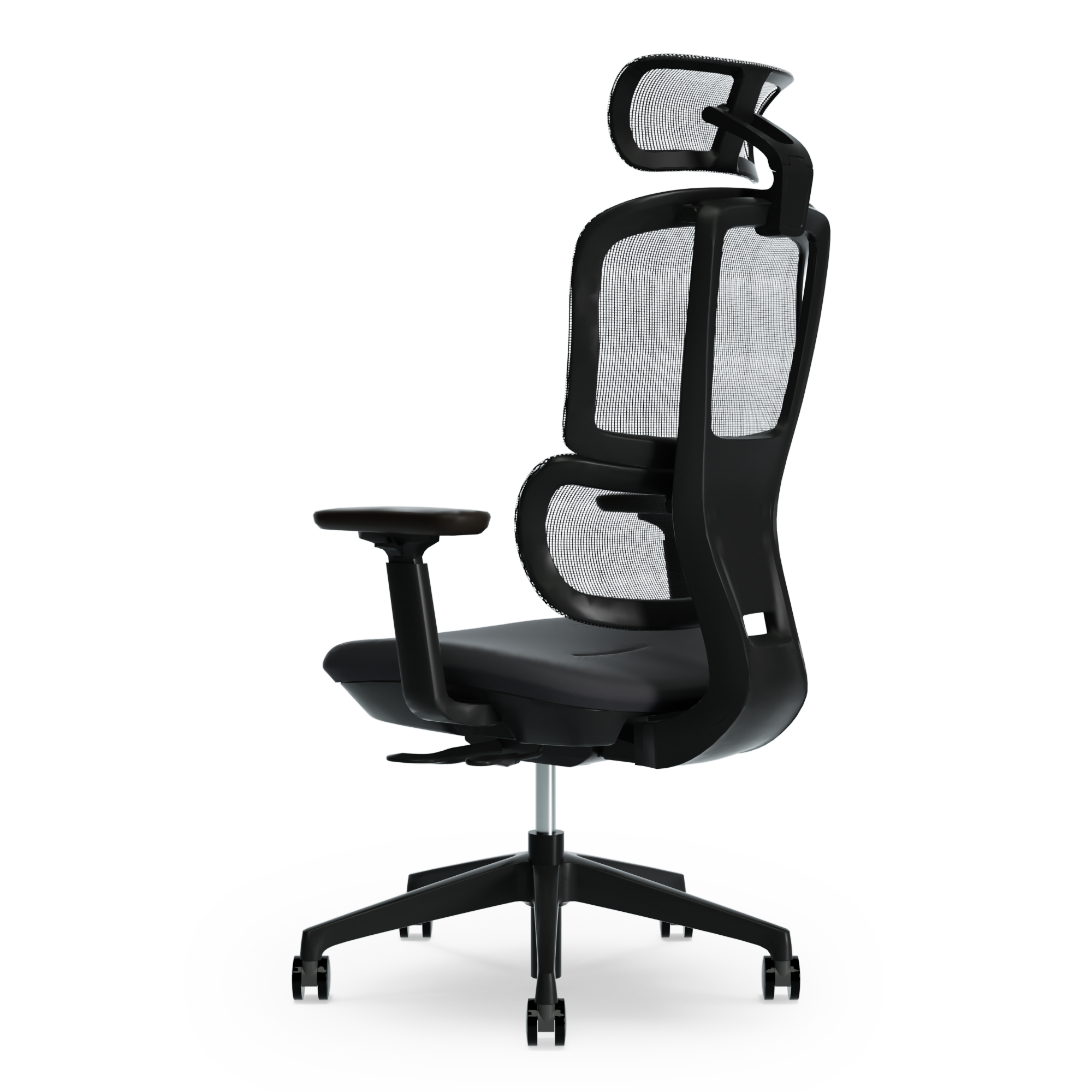 THE ERGORISM PRO Chair - Ergonomic for Well-Being & Productivity