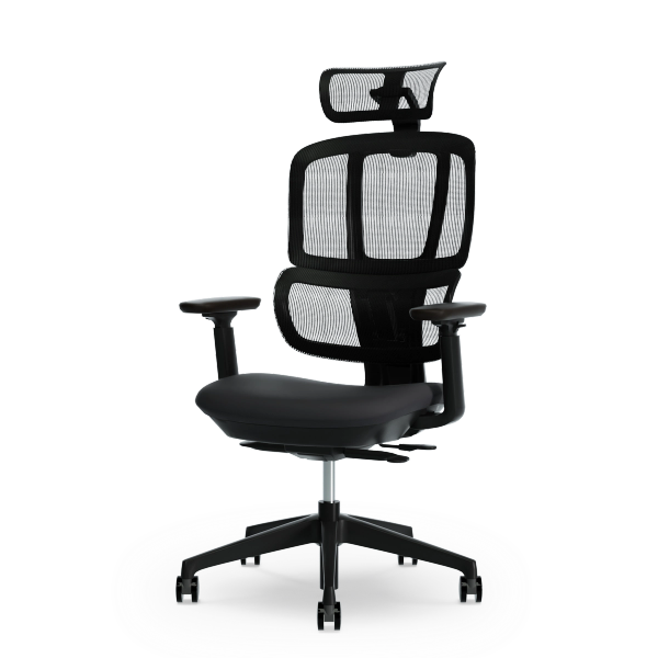 THE ERGORISM PRO Chair - Ergonomic for Well-Being & Productivity THE ERGORISM PRO Chair - Ergonomic for Well-Being & Productivity