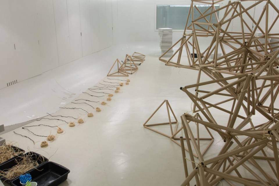 2017-02-17-herveveronese-2543-2