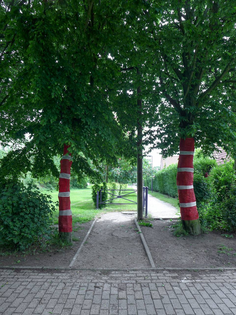 P1030163