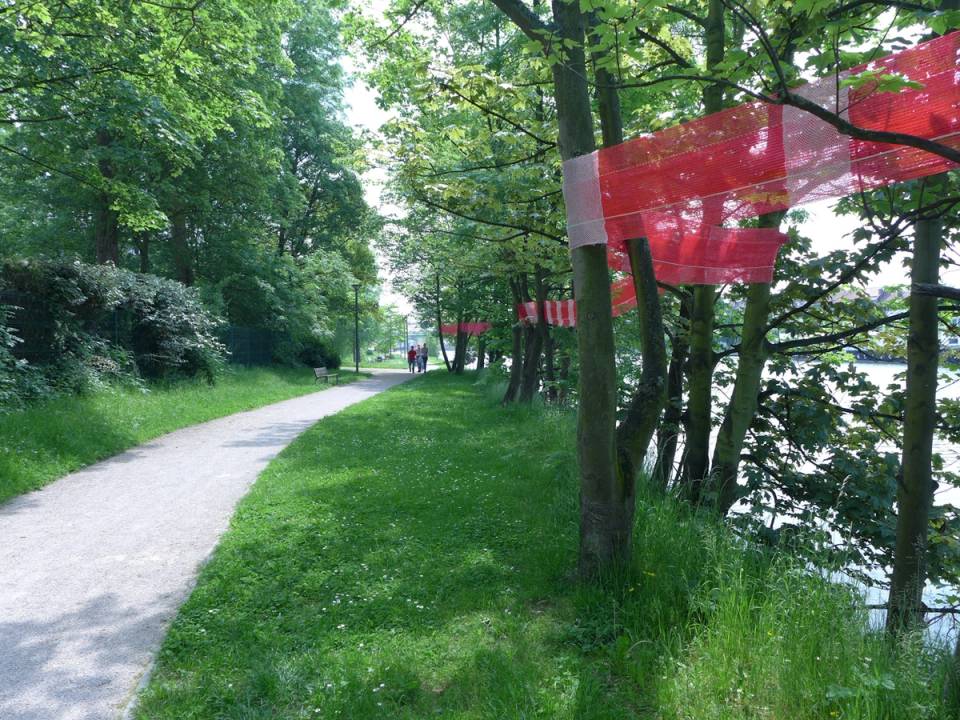 P1030411